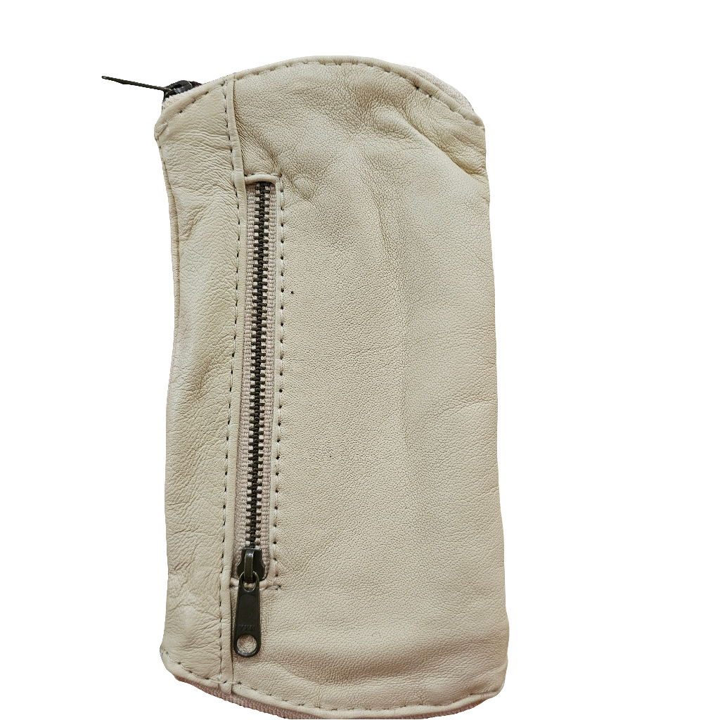 Glasses case